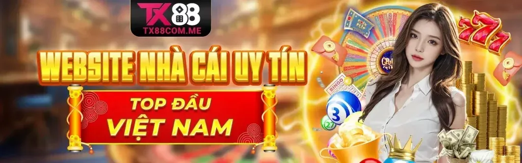 Hình ảnh tổng quan W388 Chính Thức